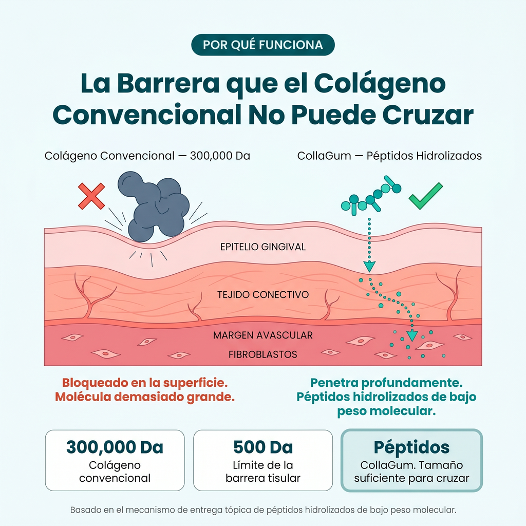 AlureSmile™ | Solución de Encías