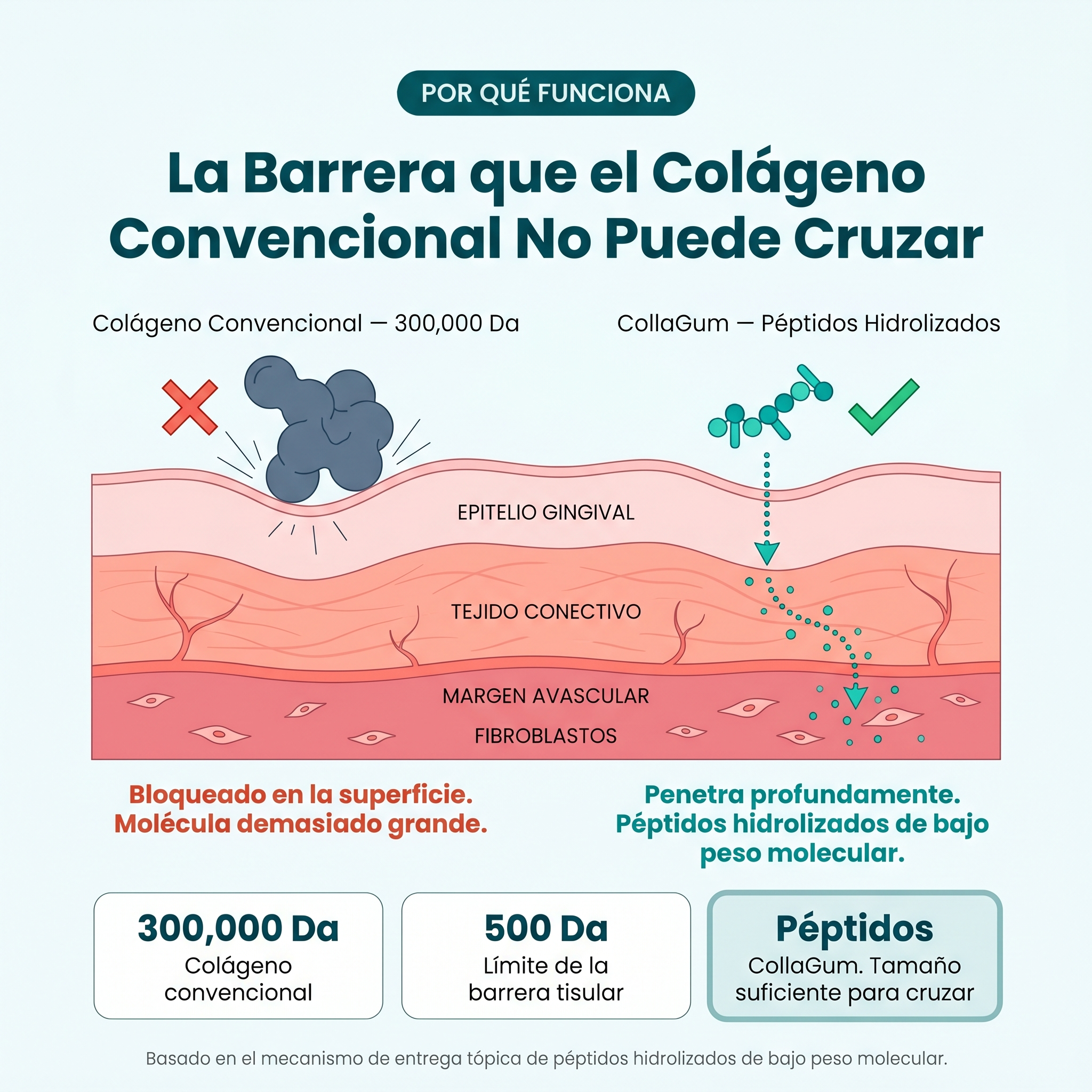 AlureSmile™ | Solución de Encías